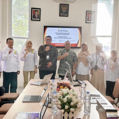 Pelaksanaan Audit Eksternal ISO 21001:2018 (2024)